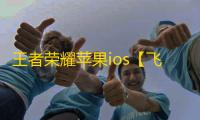 王者荣耀苹果ios【飞毛腿】辅助